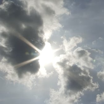 kirvat perennat kirvat perennat